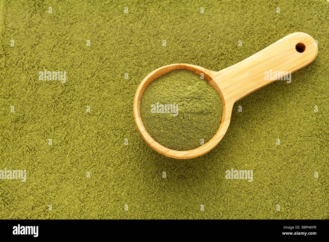 Natürliches Moringa-Pulver im Löffel - Moringa oleifera Stockfoto
