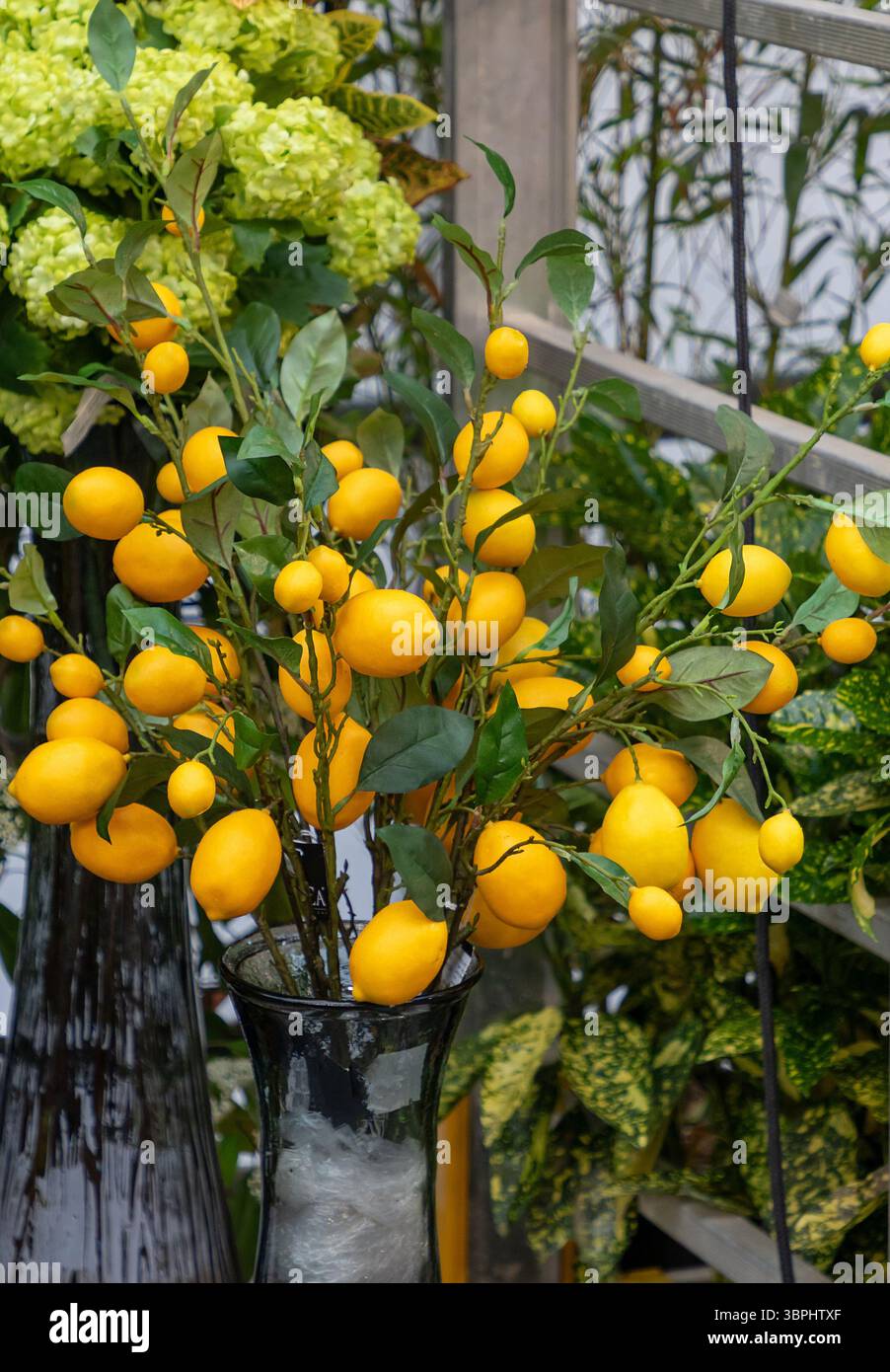 Dekorativer künstlicher Zitronenbaum in Glasvase im Garteninneren Stockfoto