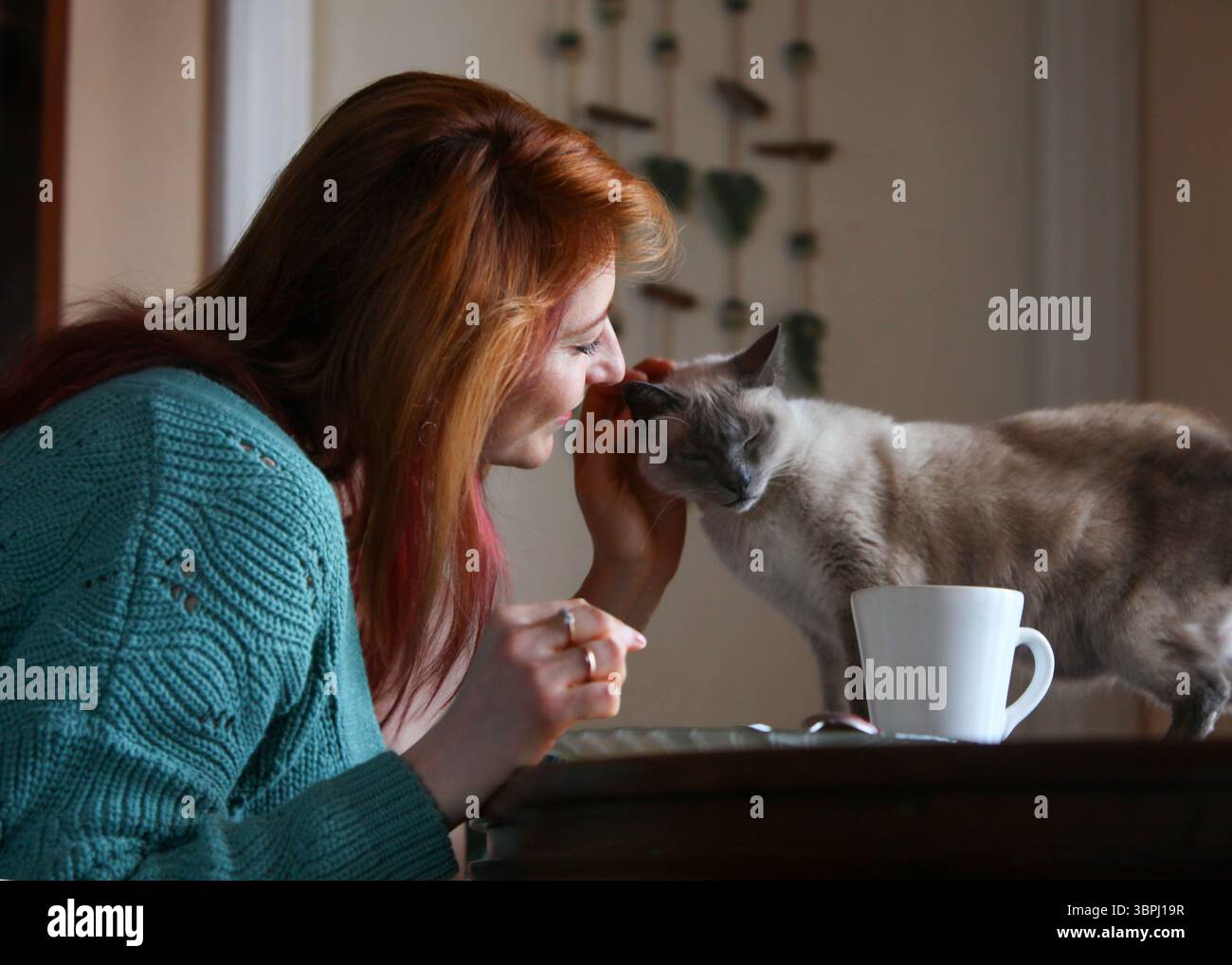 Gemütliche Indoor-Szene mit Ingwerhaarige Frau, 30er Jahre, die in Heimkleidung am Tisch sitzt. Frühstücken und Kaffee trinken, sich mit ihrer Katze verbinden. Stockfoto Gemütliche Indoor-Szene mit Ingwerhaarige Frau, 30er Jahre, die in Heimkleidung am Tisch sitzt. Frühstücken und Kaffee trinken, sich mit ihrer Katze verbinden. Stockfoto