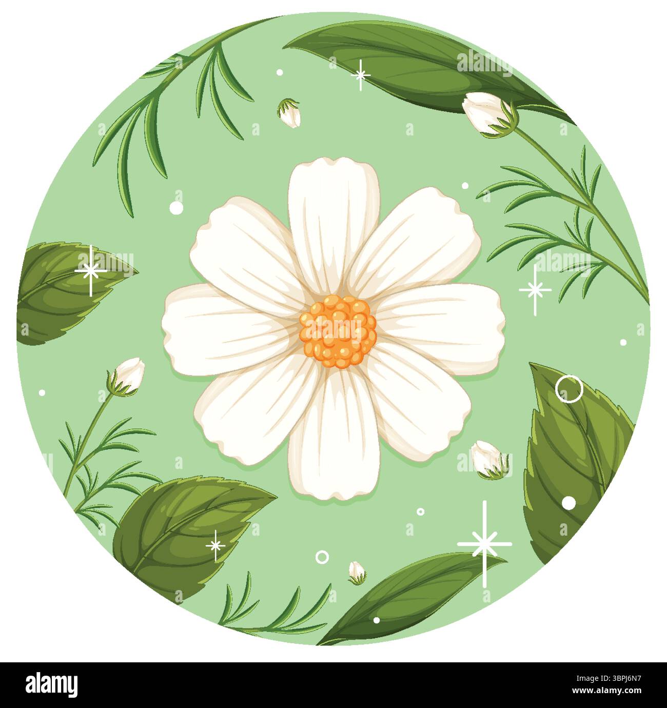 Weiße Blüte zentriert in einer kreisförmigen Komposition mit grünen Blättern und Knospen auf einem minzfarbenen Hintergrund, mit klaren Vektorlinien Stock Vektor