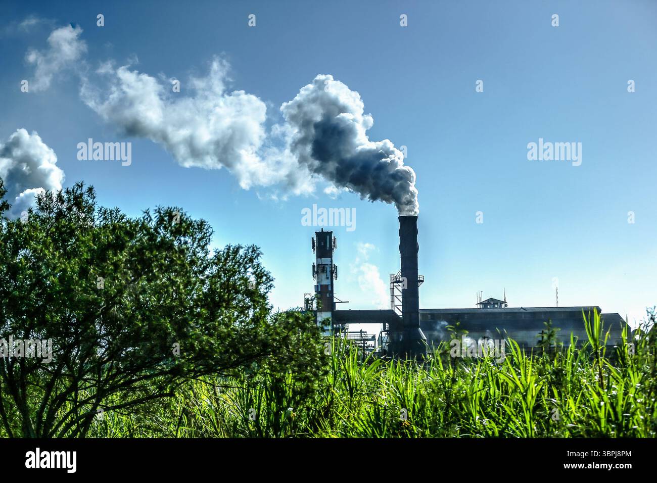 Eine Zuckerraffinerie auf der hawaiianischen Insel Maui Stockfoto