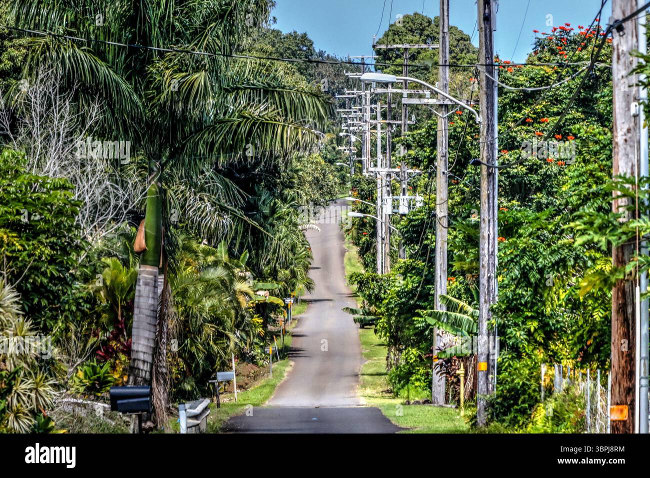 Blick entlang der Road to Hana auf der hawaiianischen Insel Maui Stockfoto