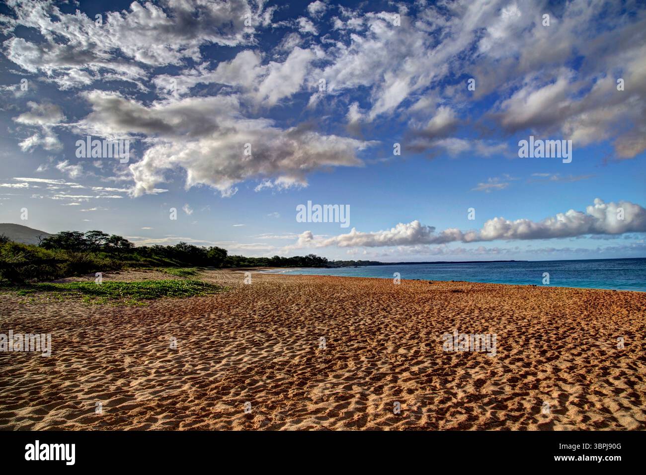 Großer Strand auf der hawaiianischen Insel Maui Stockfoto