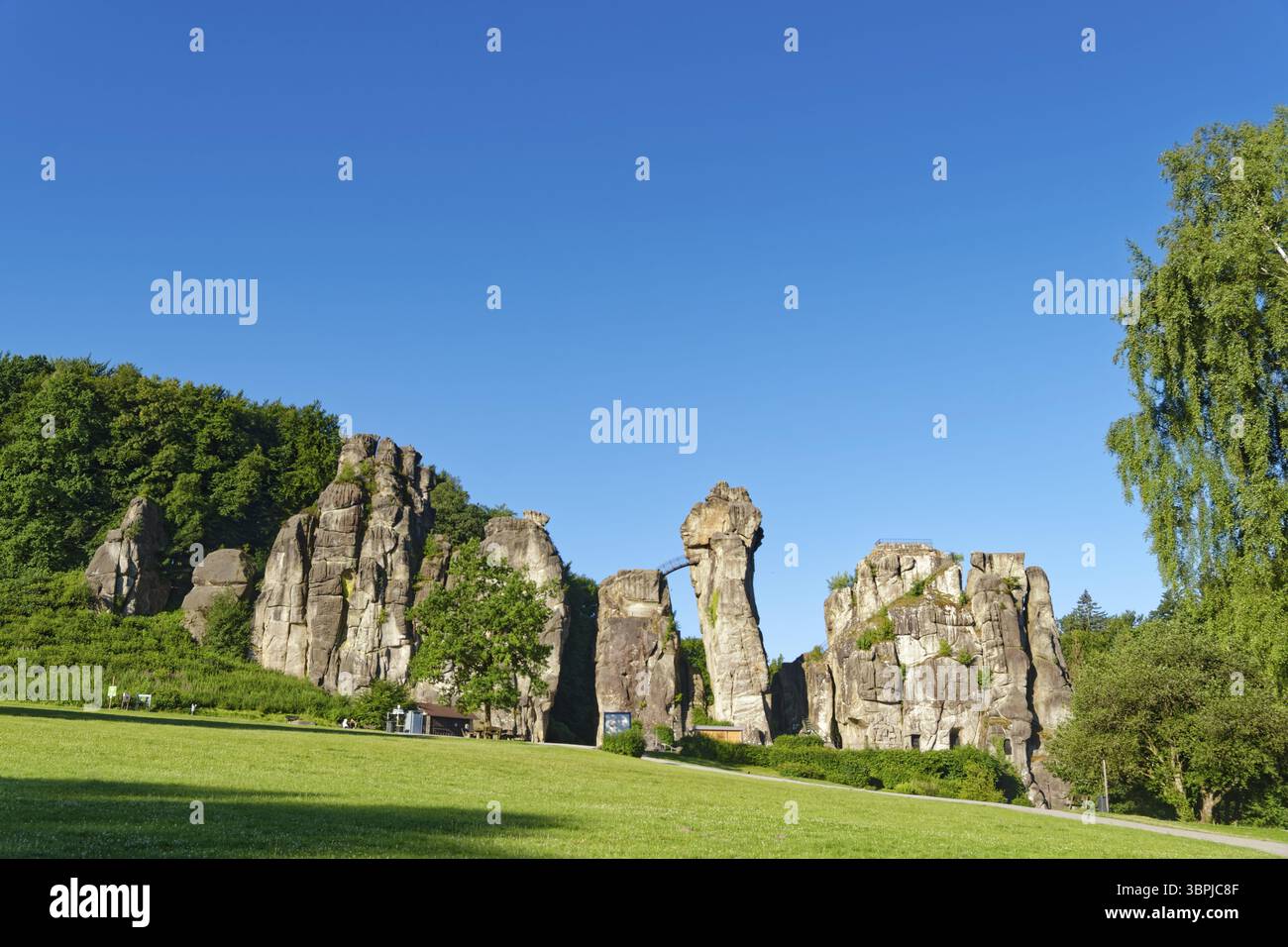 Die Externsteine, eine rund 40 Meter hohe Sandsteinformation im Teutoburger Wald, sind ein Naturdenkmal und Naturschutzgebiet Stockfoto
