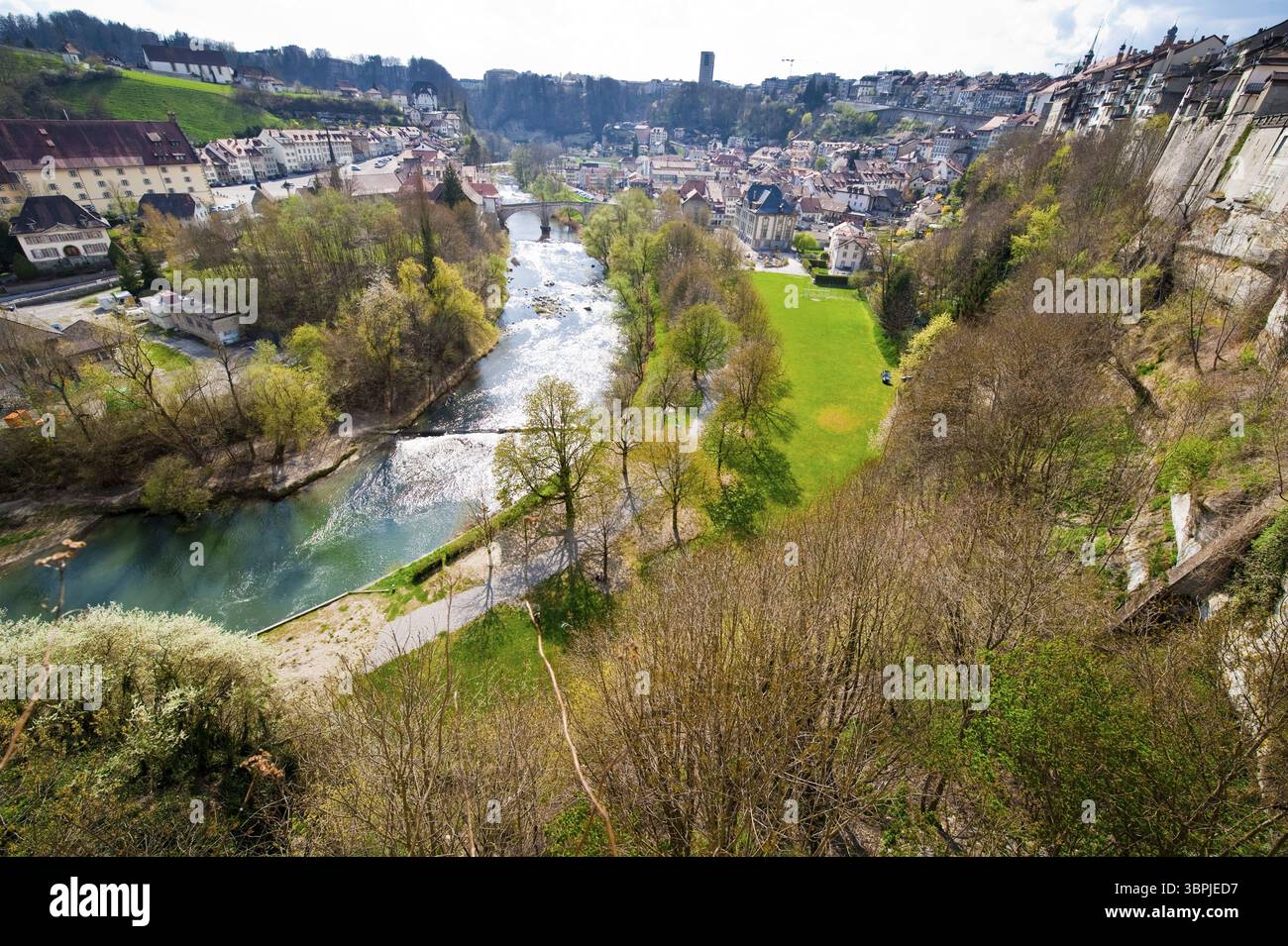 Wohnhäuser, die auf einem Felsen mit dem Flussbett der Saane in der Altstadt von Freiburg, Schweiz, Freiburg, Schweiz, Europa aneinander gereiht sind Stockfoto