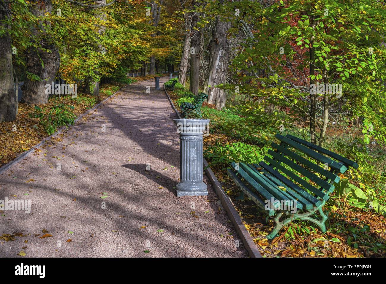 Gasse im Sofijewski Arboretum oder Sofiyivsky Park in Uman, Ukraine, an einem sonnigen Herbsttag, Uman, Ukraine, Europa Stockfoto