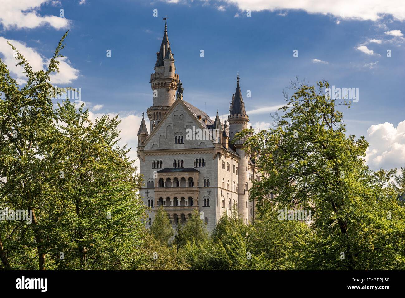 Hinterfassade des Schlosses Neuschwanstein zwischen Bäumen Stockfoto
