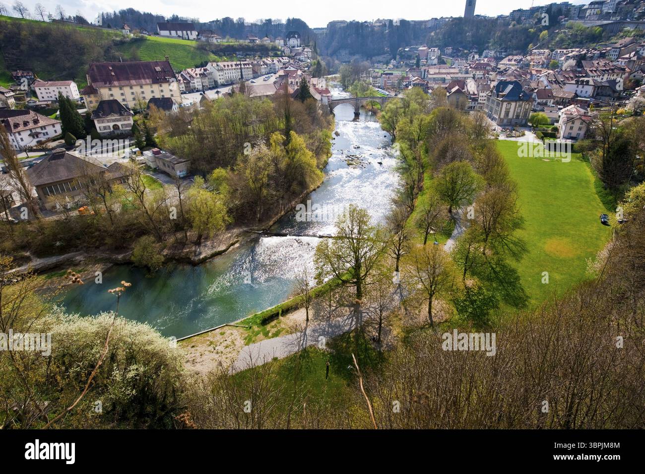 Wohnhäuser säumen das Flussbett der Saane in der Altstadt von Freiburg, Schweiz, Freiburg, Schweiz, Europa Stockfoto