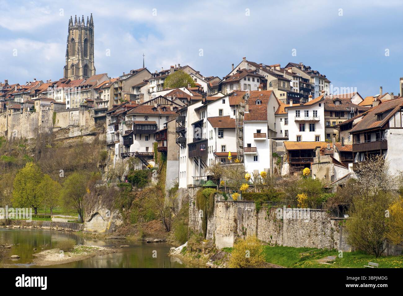 Eine Reihe von Häusern mit dem Turm der Kirche St. Nikolaus auf einem Felsen am Ufer des Flusses Saane in der Altstadt von Freiburg, Schweiz, Fribou Stockfoto