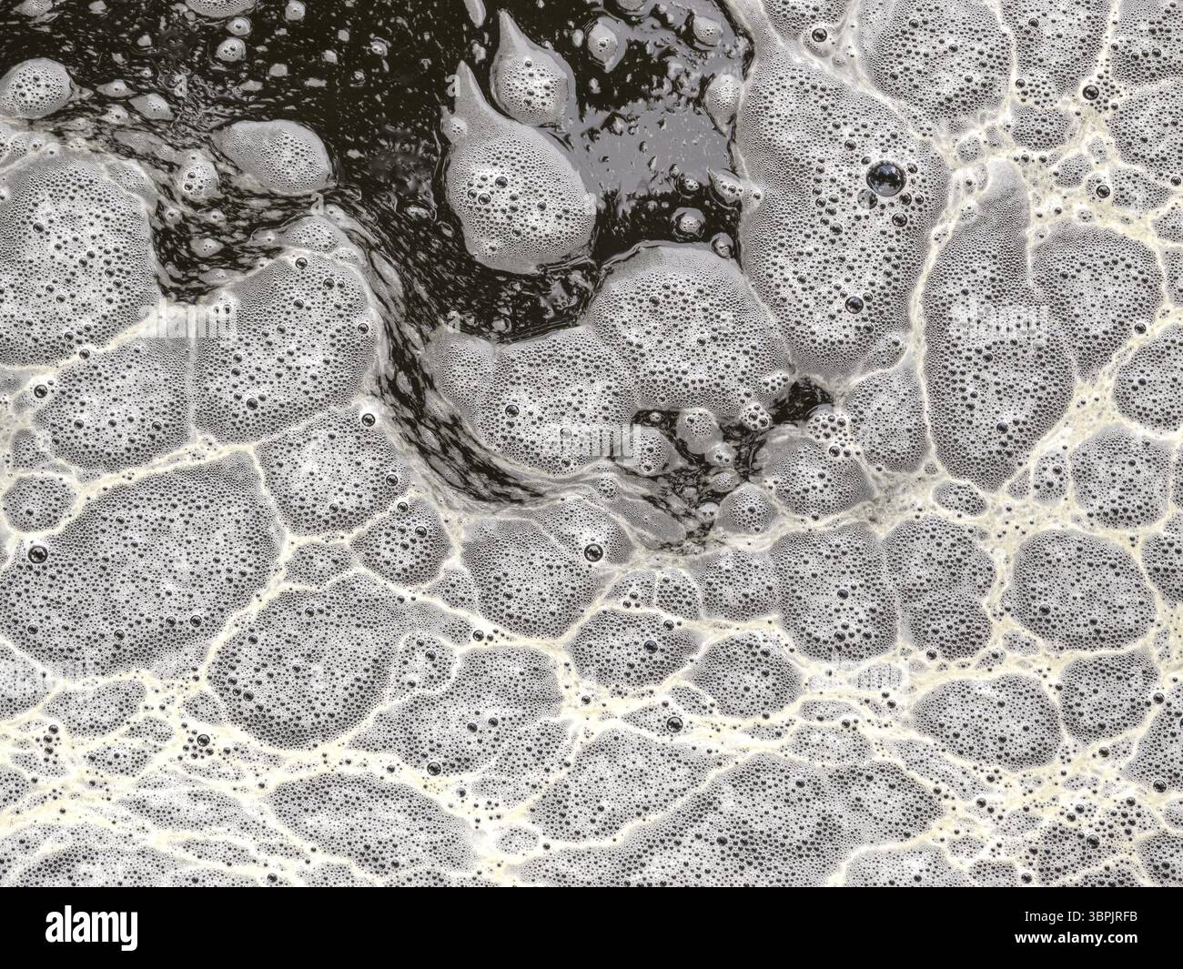Nahaufnahme eines Seifenschaums mit Luftblasen und Schaum Stockfoto