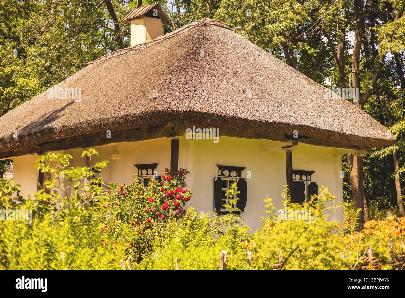 Altes ukrainisches Haus mit Strohdach Stockfoto