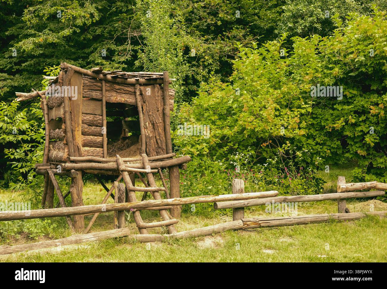 Ukrainisches Dorf, alte Kellerscheune am Sommertag Stockfoto
