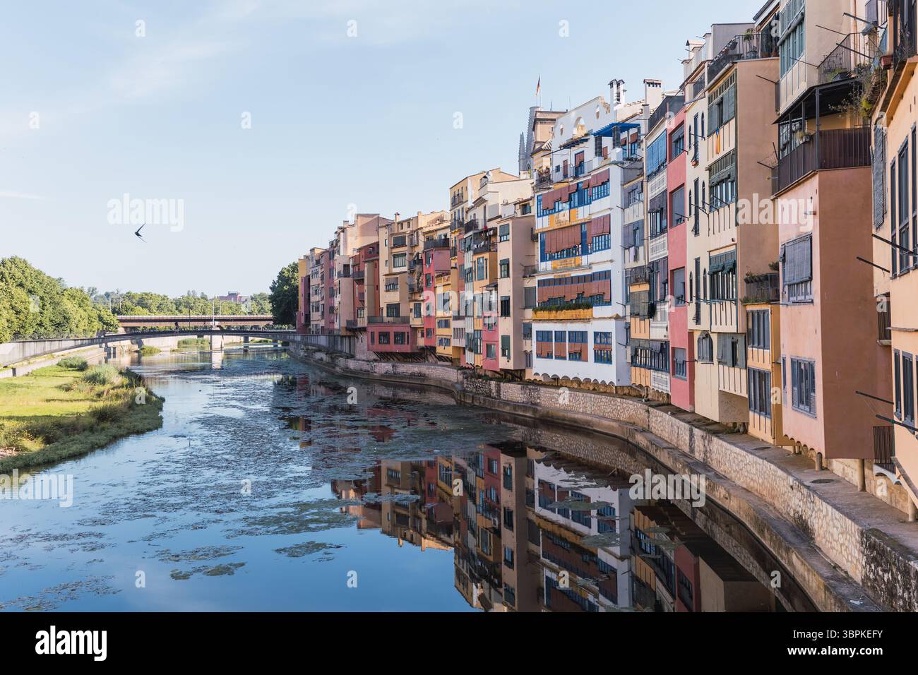 Malerische Aussicht auf farbenfrohe Häuser entlang des onyar-Flusses in girona, katalonien, spanien, die eine lebendige Reflexion im Wasser unter einer Brücke erzeugen Stockfoto