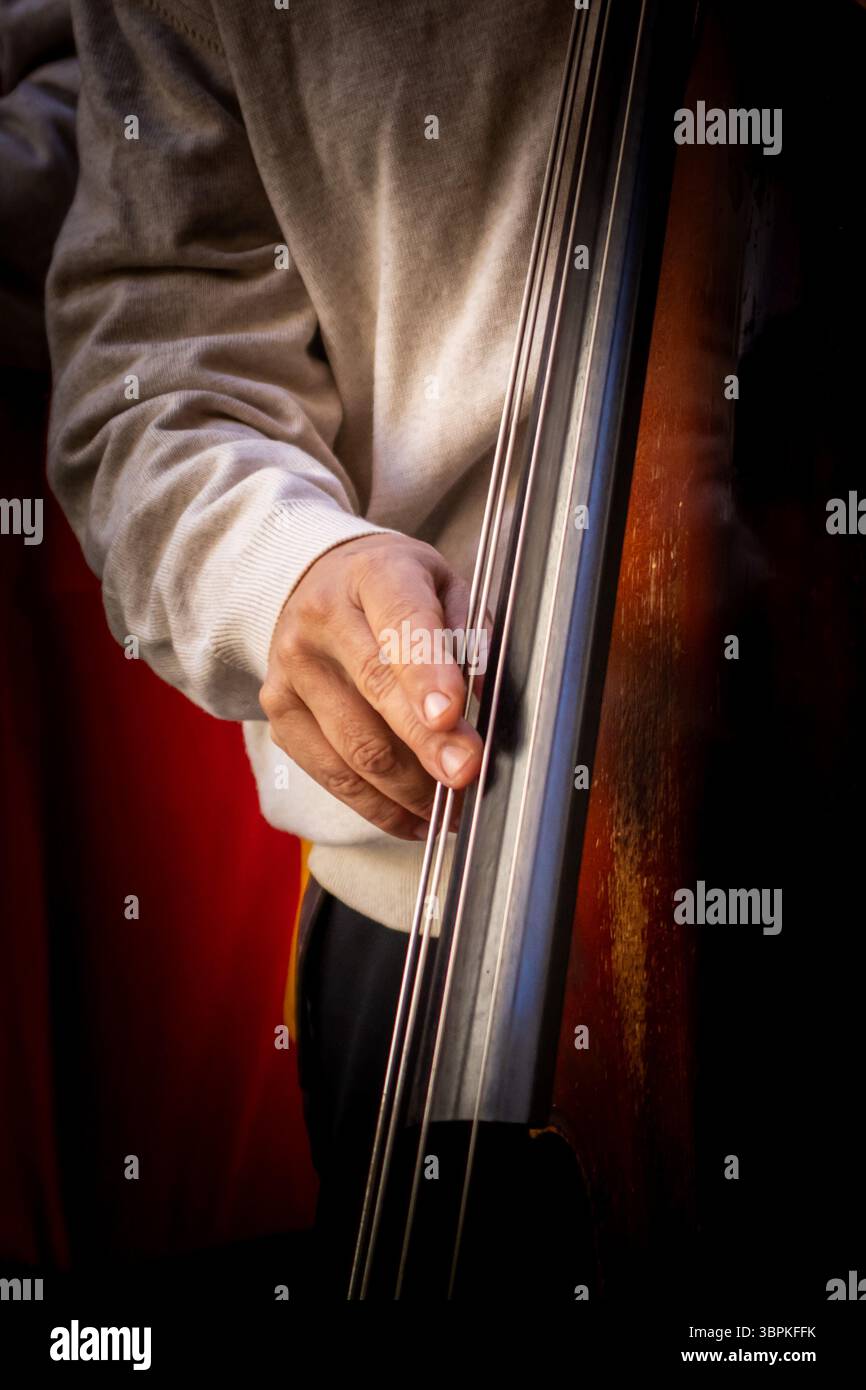 Nahaufnahme einer Hand eines Musikers, die die Streicher eines Kontrabaßes zupft, wodurch die Fähigkeiten und Präzision des Instruments hervorgehoben werden Stockfoto