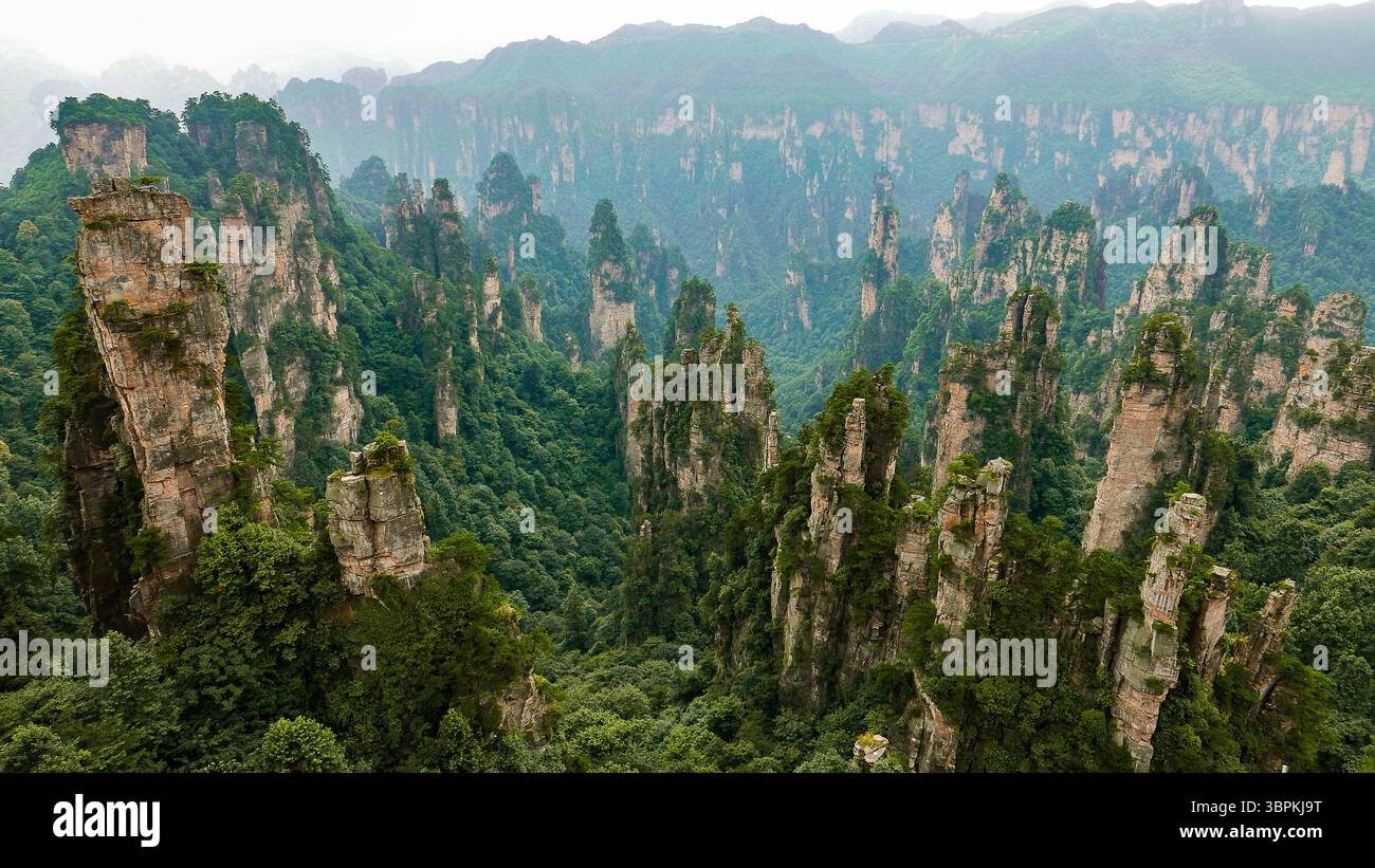Zhangjiajie National Forest Park Sandsteinsäulen Stockfoto