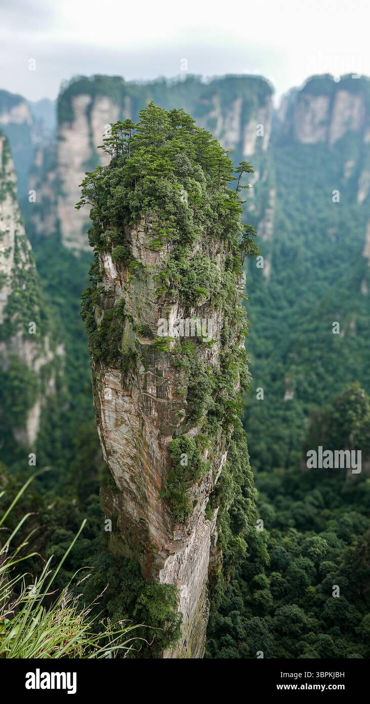 Einzelne Sandsteinsäule von Zhangjiajie Stockfoto