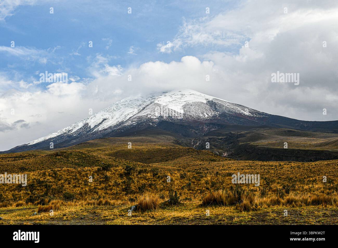 Der schneebedeckte Cotopaxi-Vulkan erhebt sich über dem grasbewachsenen Andenparamo unter teilweise bewölktem Himmel in Ecuador Stockfoto