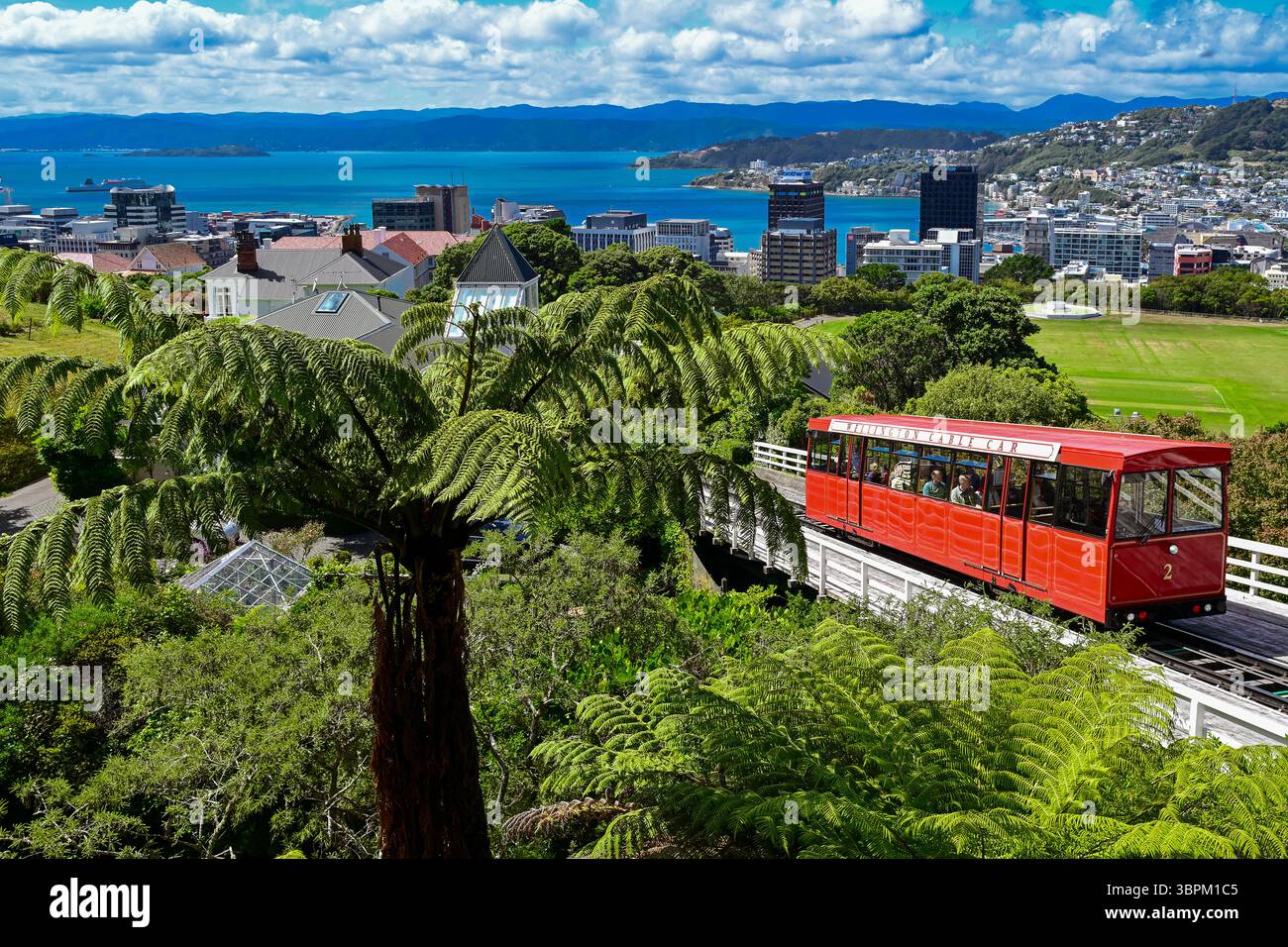 Die berühmte rote Wellington Cable Car führt durch üppiges Grün mit Blick auf die Stadt Wellington und den Hafen von Neuseeland Stockfoto