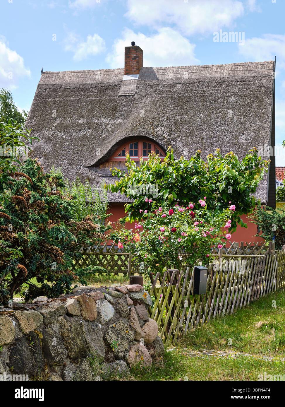 16. Juni 2025 - Kamminke-Deutschland: Traditionelles strohgedecktes Ferienhaus im norddeutschen Stil mit moosbedecktem Dach und farbenfroher Fassade, umgeben von gr Stockfoto