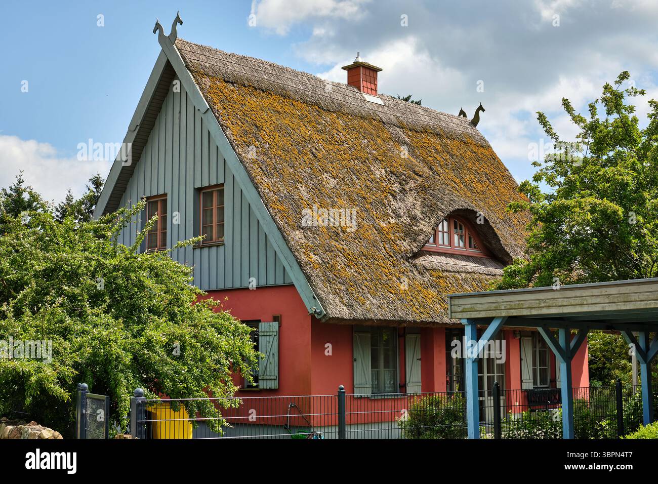 16. Juni 2025 - Kamminke-Deutschland: Traditionelles strohgedecktes Ferienhaus im norddeutschen Stil mit moosbedecktem Dach und farbenfroher Fassade, umgeben von gr Stockfoto