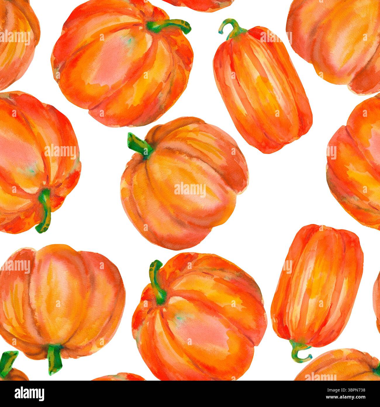 Kürbis. Nahtloses Aquarellmuster mit leuchtend orangen Kürbissen, isoliert auf weiß für saisonale Verpackungen, Geschenkpapier, Poster, Stoffdruck, banne Stockfoto