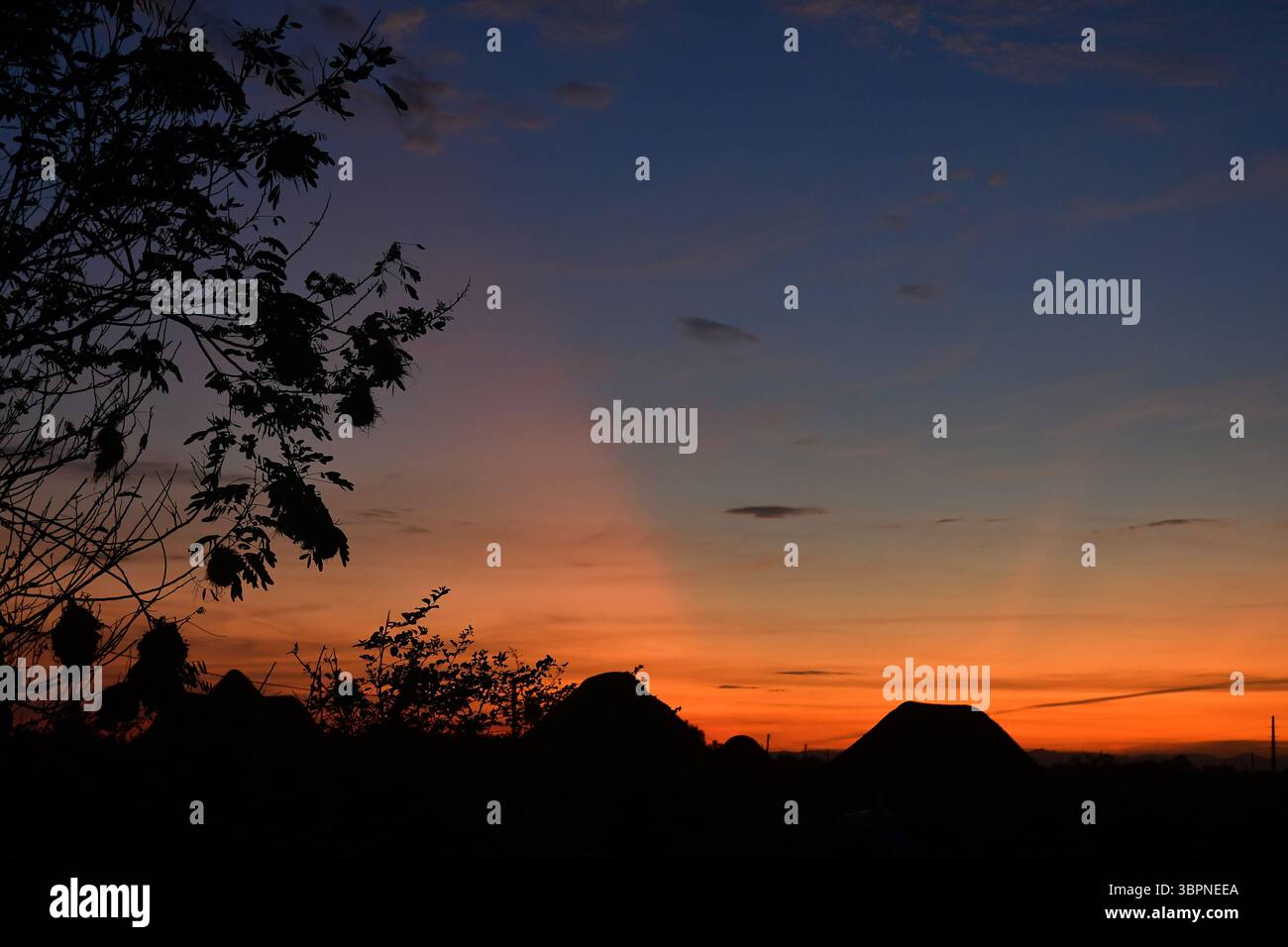Silhouetten von Bäumen und traditionellen Hütten bei Sonnenuntergang im ländlichen Uganda Stockfoto