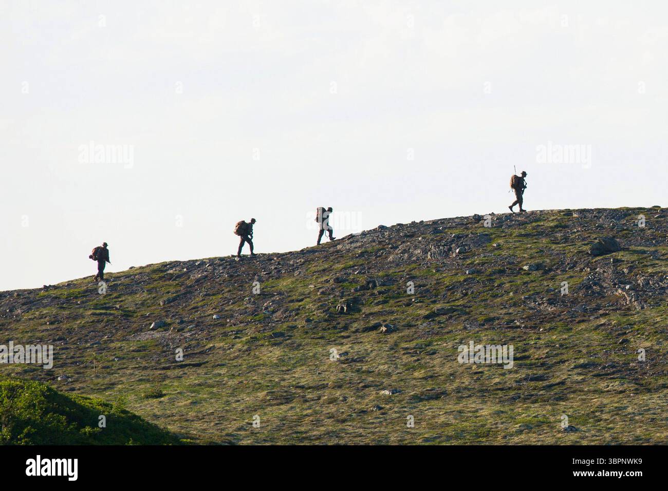 26. Juni 2020 - Haltdalen Training Facility, Norwegen - U.S. Marines mit Marine Rotational Force Europe 20.2, Marine Forces Europe and Africa nehmen an einer 16-Meilen-Wanderung während der letzten Übung ihres Bergkriegstrainings in der Haltdalen Training Facility, Norwegen, am 26. Juni 2020 Teil. Die Marines wurden auf ihre Fähigkeiten getestet, kleine Einheiten in bergigem Gelände während des zweiwöchigen langen Kurses einzusetzen. Die MRF-E führt verschiedene Übungen durch, darunter Training bei arktischem Kälte- und Gebirgskrieg, sowie Militär-Militär-Engagements in ganz Europa Stockfoto