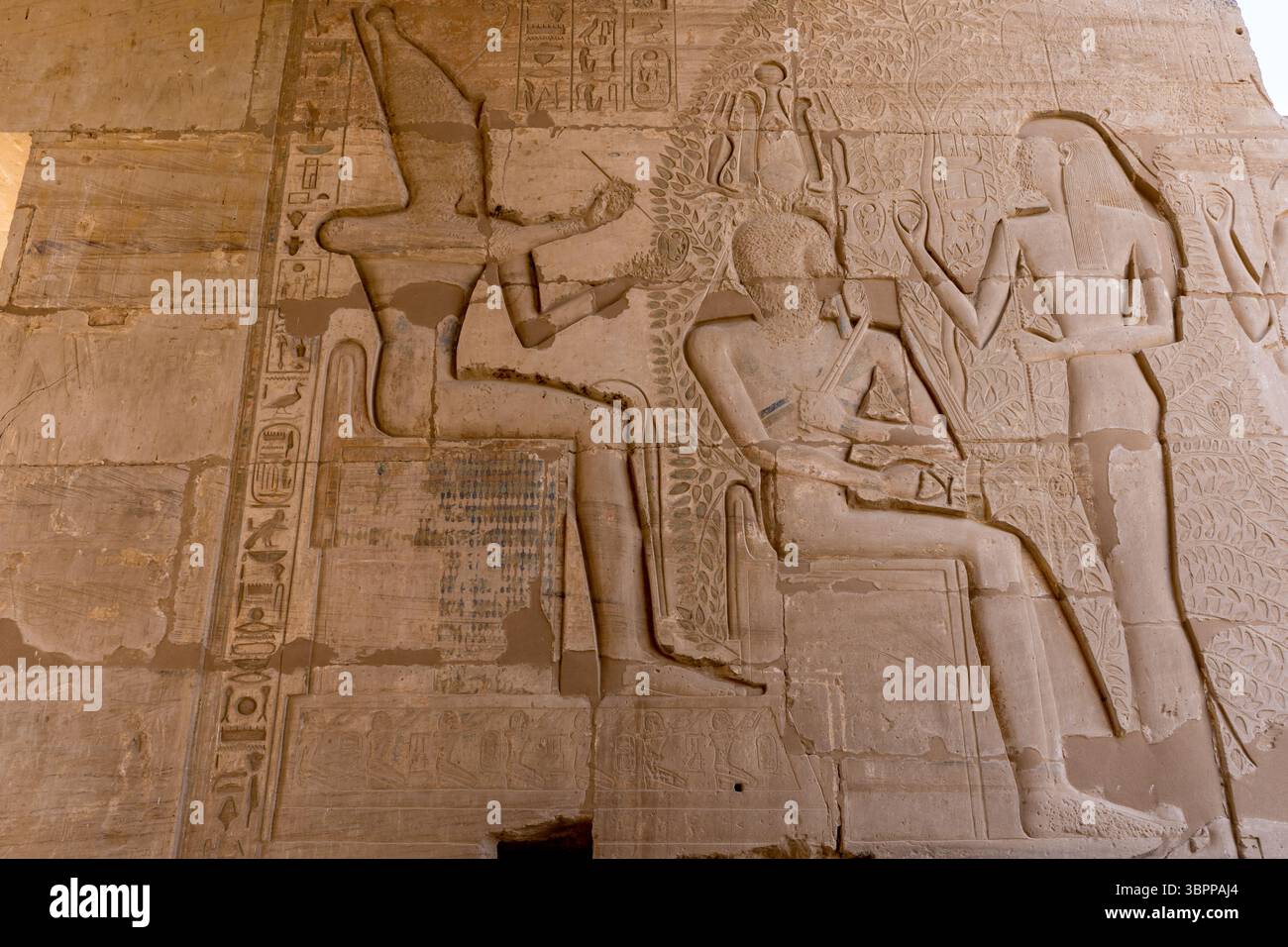 Relief mit Ramses II. Mit dem Baum des Lebens oder dem Isched-Baum, Ramesseum, Luxor Stockfoto