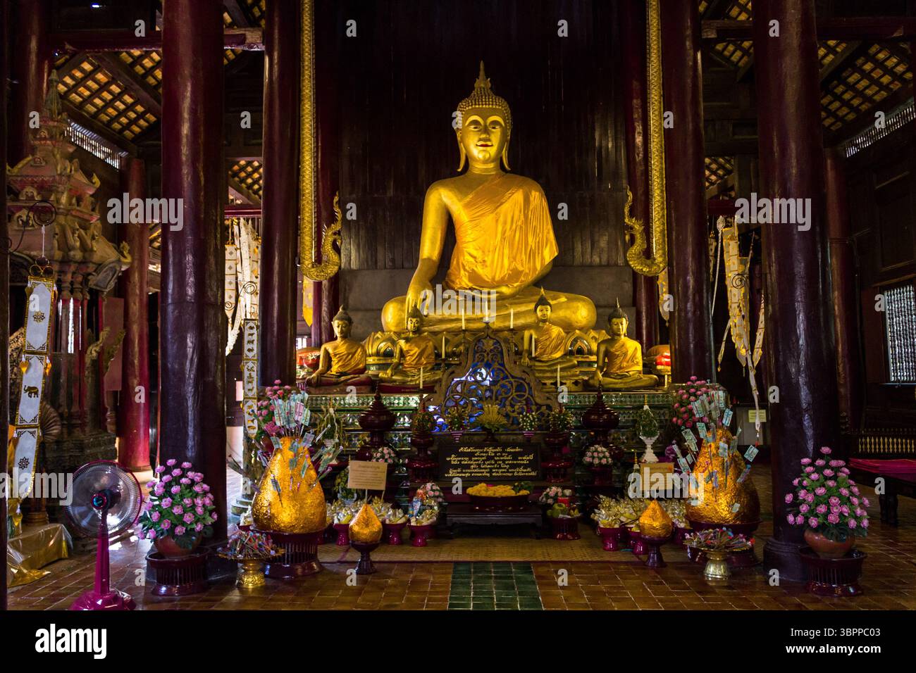 Buddha-Statuen, Bilder und Tempel in Thailand. Thailändische buddhistische Kunst und Skulpturen Sammlung. Heiliger Gott. Buddha-Bilder für Meditation und Spiritualität Stockfoto