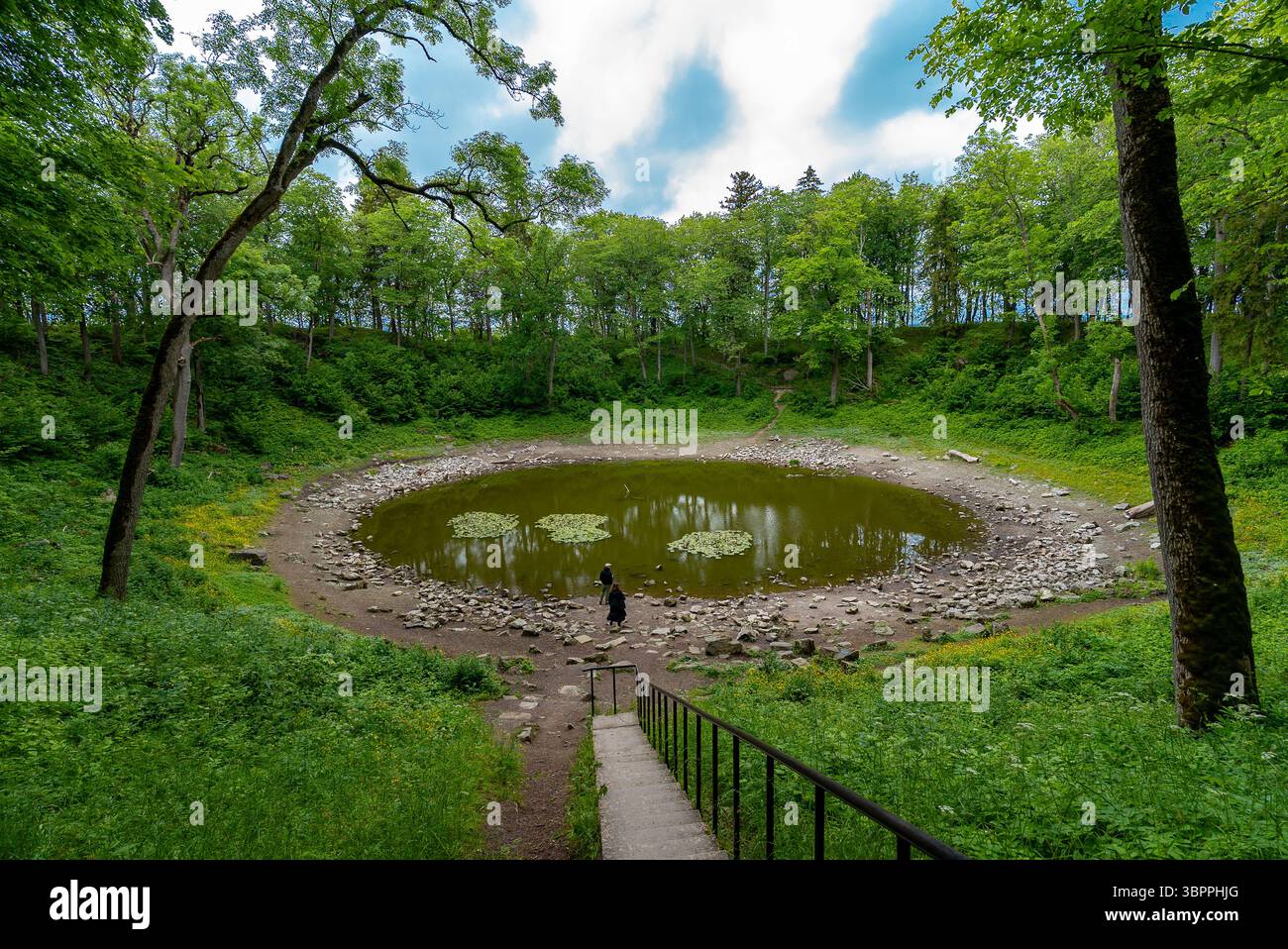 Malerischer Meteoritenkratersee Kaali umgeben von bewaldetem Gelände. Stockfoto
