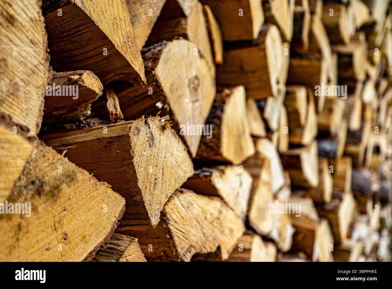 Stapel von fein gehacktem Brennholz in einem Holzschuppen. Stockfoto