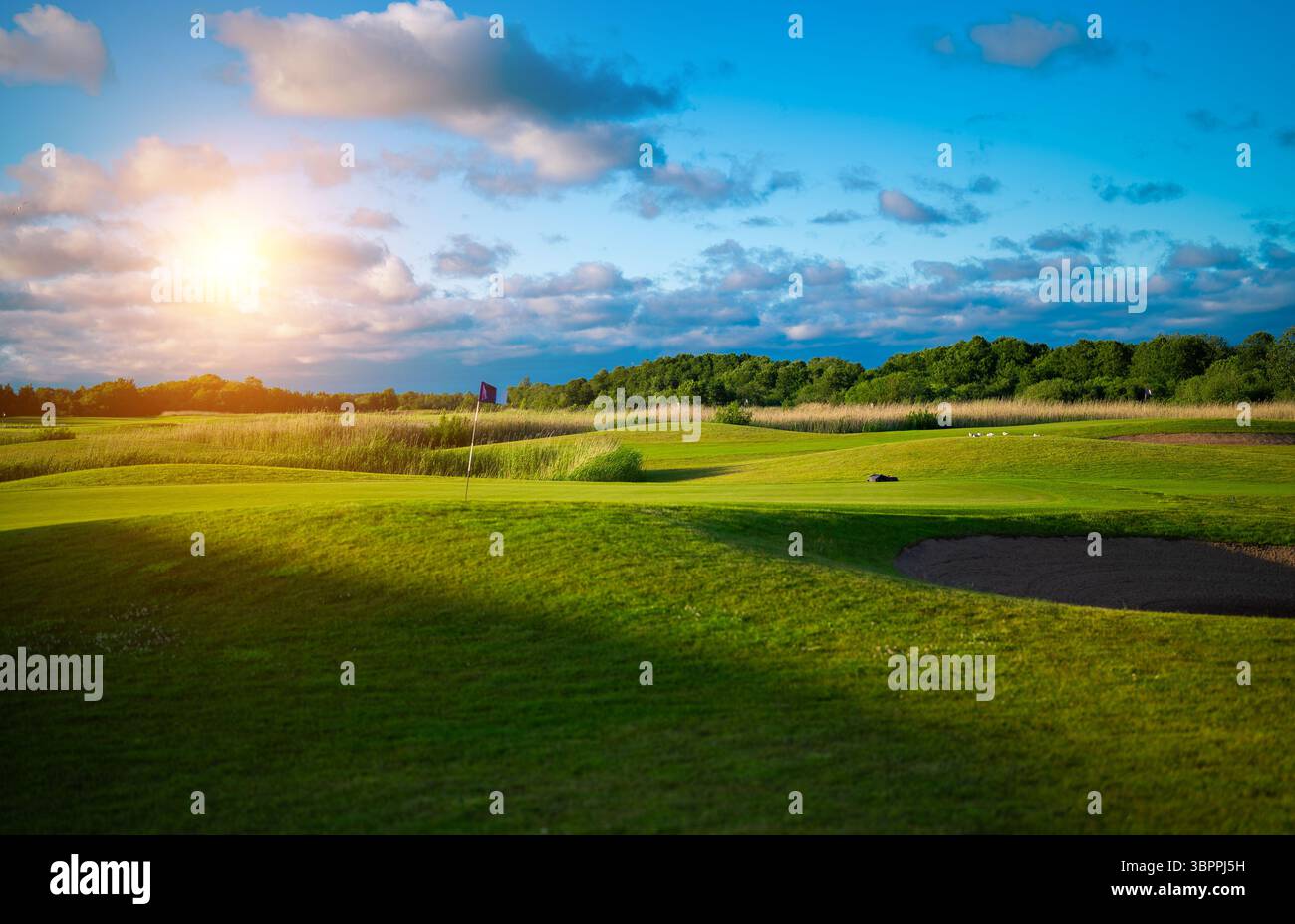 Grüne Golfplatzlandschaft unter blauem sonnigem Himmel. Stockfoto