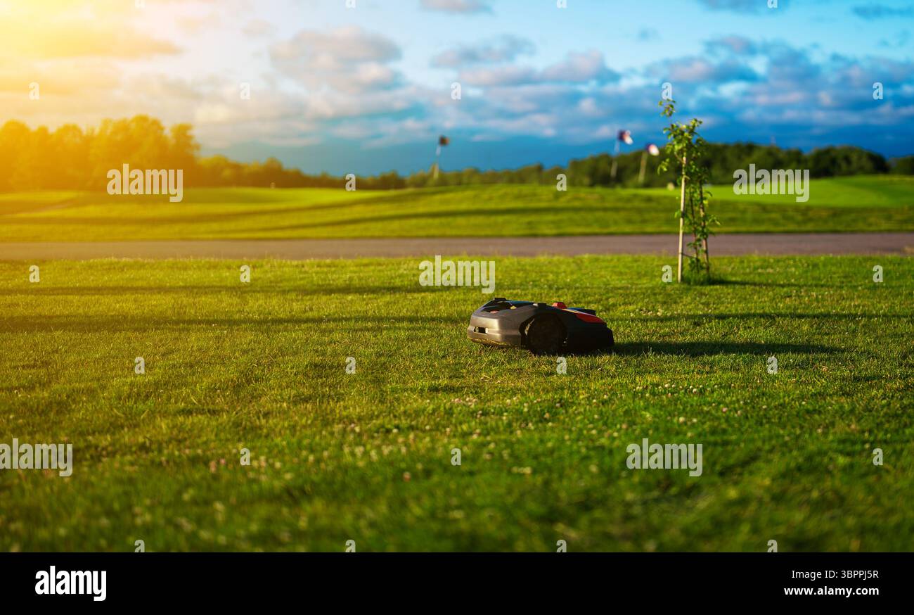 Der Mähroboter mäht das Gras auf dem Rasen. Stockfoto
