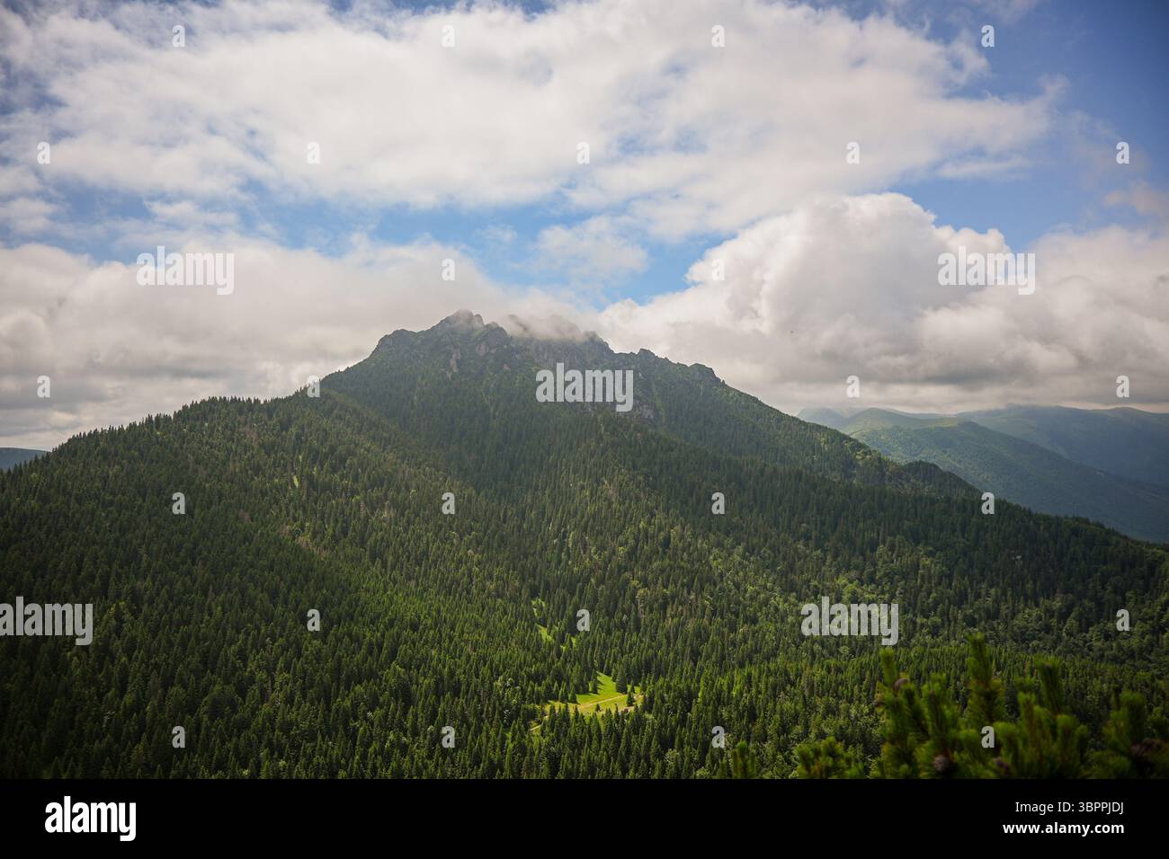 Atemberaubender Blick auf einen Berggipfel, der über einem dichten grünen Wald ragt, mit einem bewölkten Himmel, der eine dramatische Kulisse bildet. Stockfoto