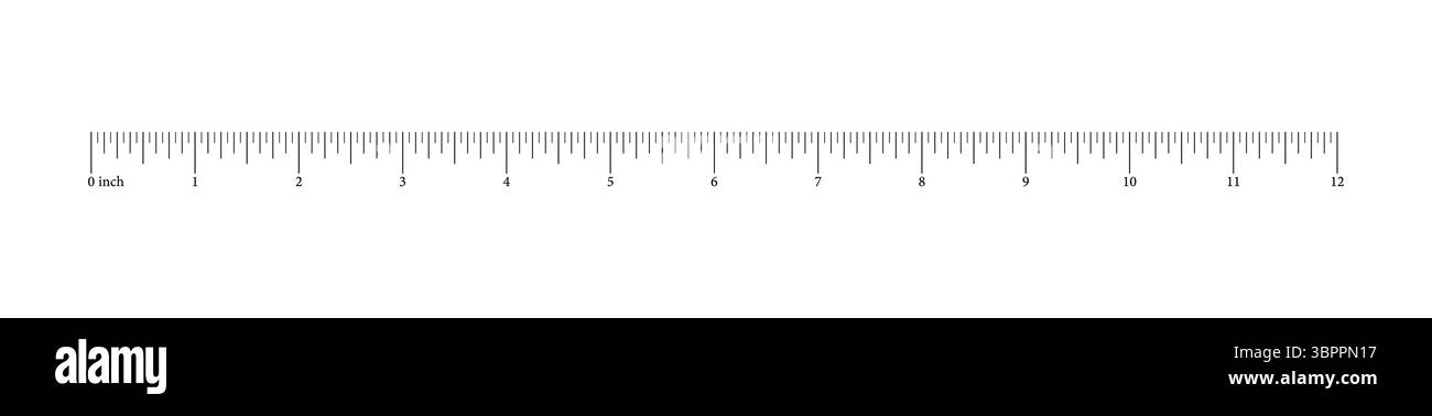 Lineal 12 Zoll, Fuß. Mathematisches, geometrisches Werkzeug für Abstand. Skala für Höhen- und Längenmessung mit Markup und Zahlen. Horizontales Diagramm wird gemessen. Vektor Stock Vektor