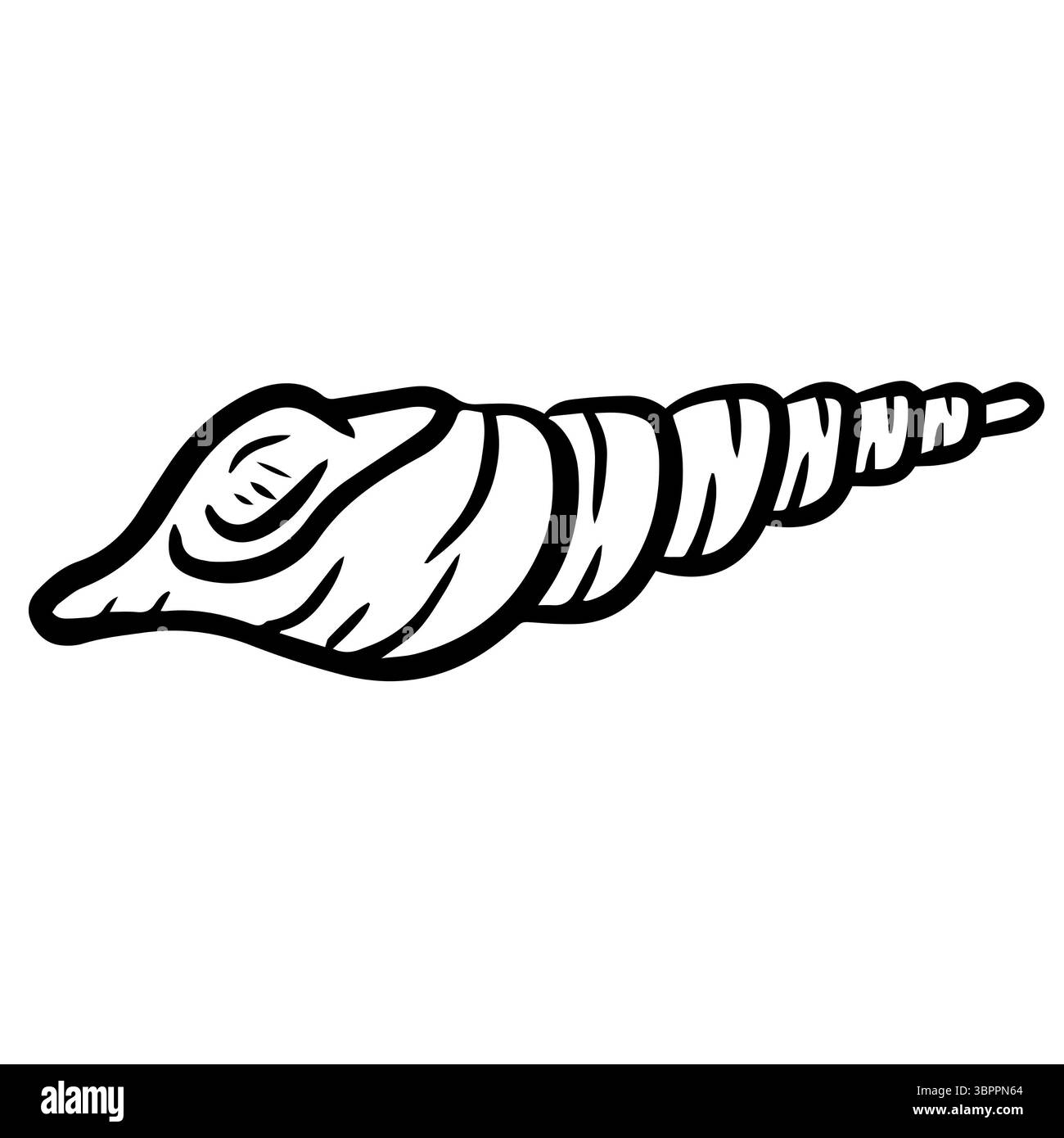 Handgezeichnete Clipart-Illustration von Muschelmuscheln Muscheln am Meer Stockfoto