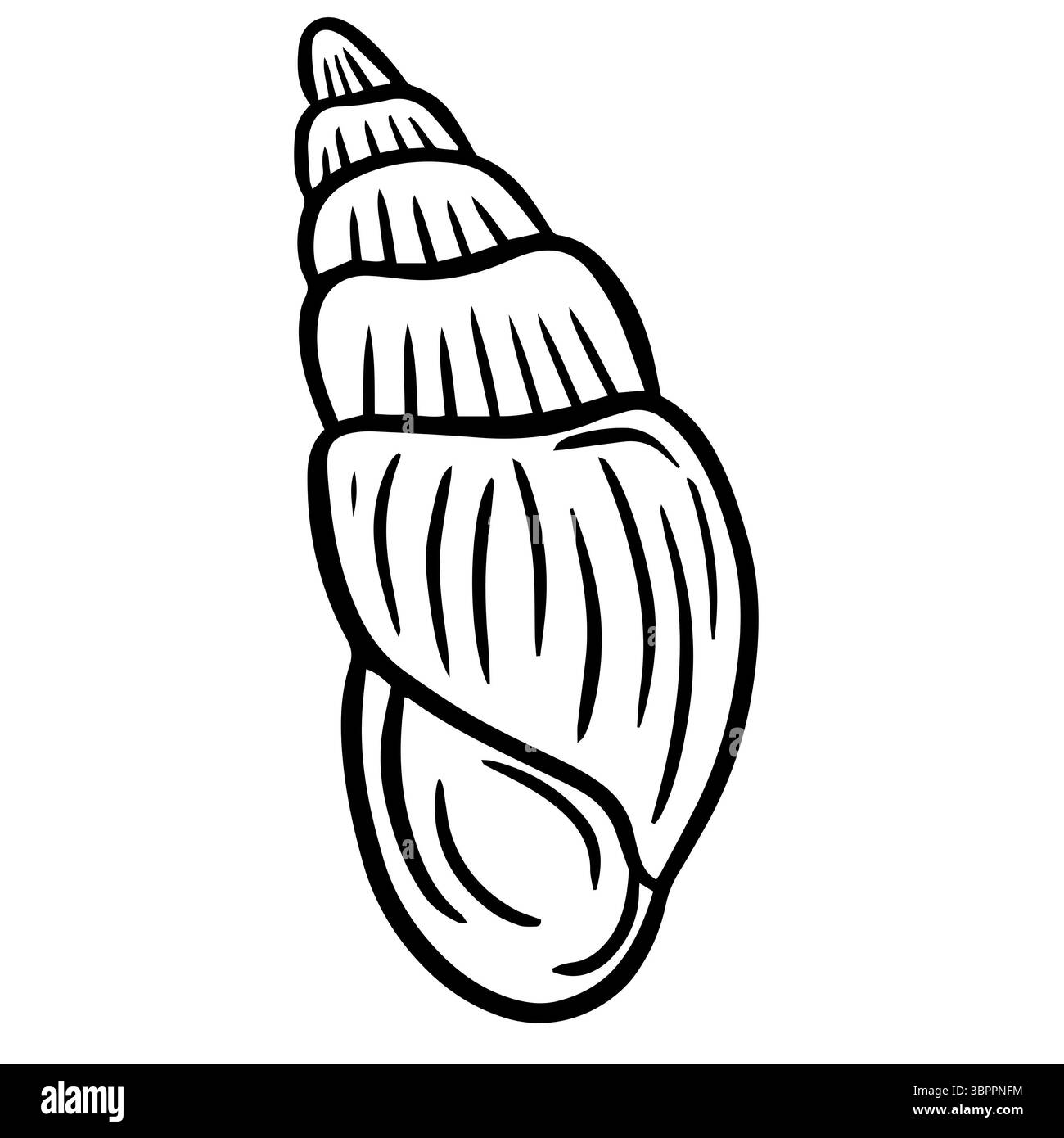 Handgezeichnete Clipart-Illustration von Muschelmuscheln Muscheln am Meer Stockfoto