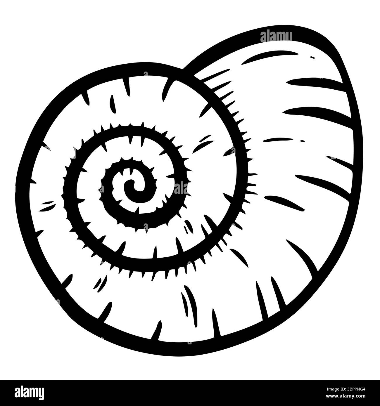 Handgezeichnete Clipart-Illustration von Muschelmuscheln Muscheln am Meer Stockfoto