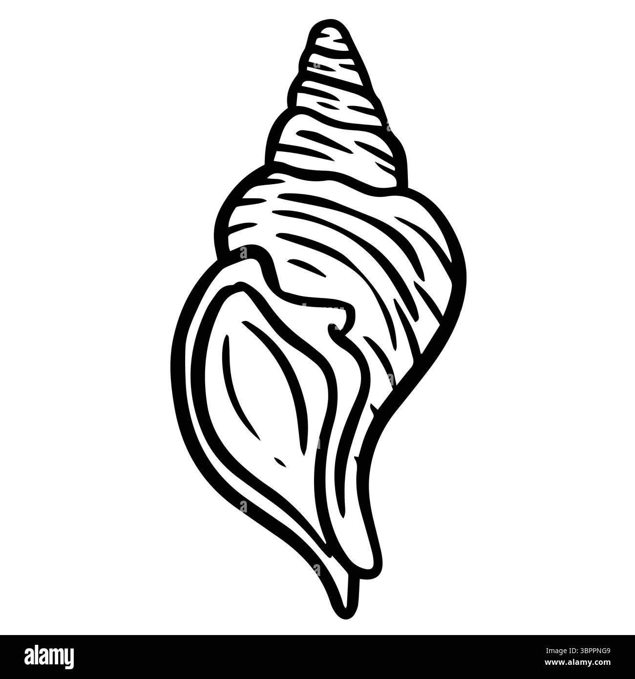 Handgezeichnete Clipart-Illustration von Muschelmuscheln Muscheln am Meer Stockfoto