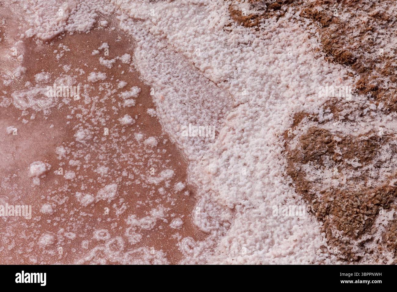 In den Salinen Salinas de los Agujeros, Los Cocoteros, Lanzarote, Kanarischen Inseln, Spanien bilden sich SAalt-Kristalle Stockfoto