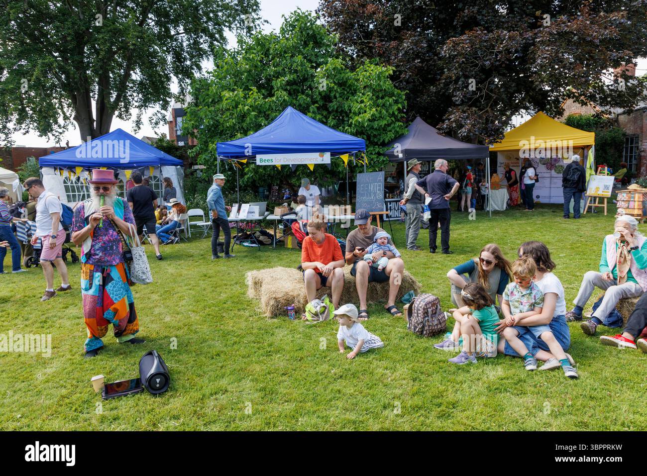 Ein Mann spielt Blockflöte bei einem Sommertreffen zur Unterstützung der Bienen in Monmouth, Wales, Großbritannien Stockfoto