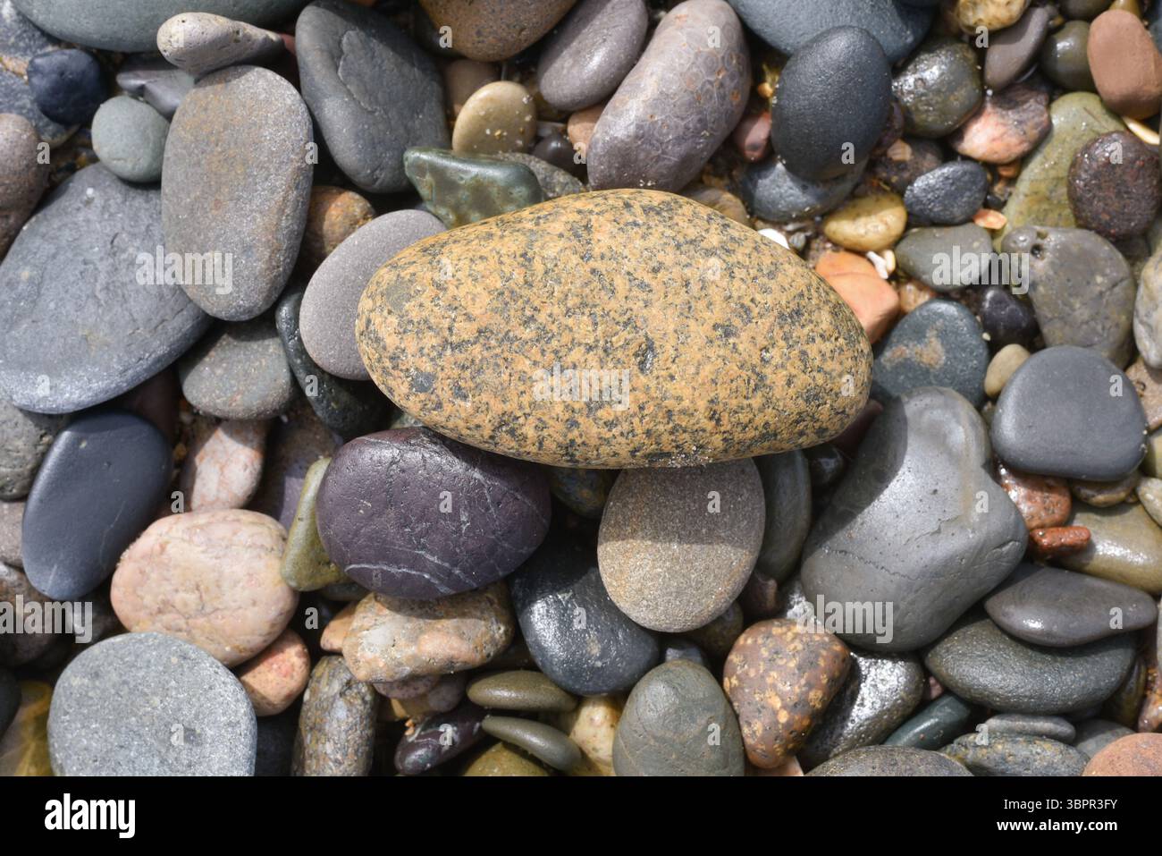 Steine am britischen Strand, Großbritannien. Stockfoto