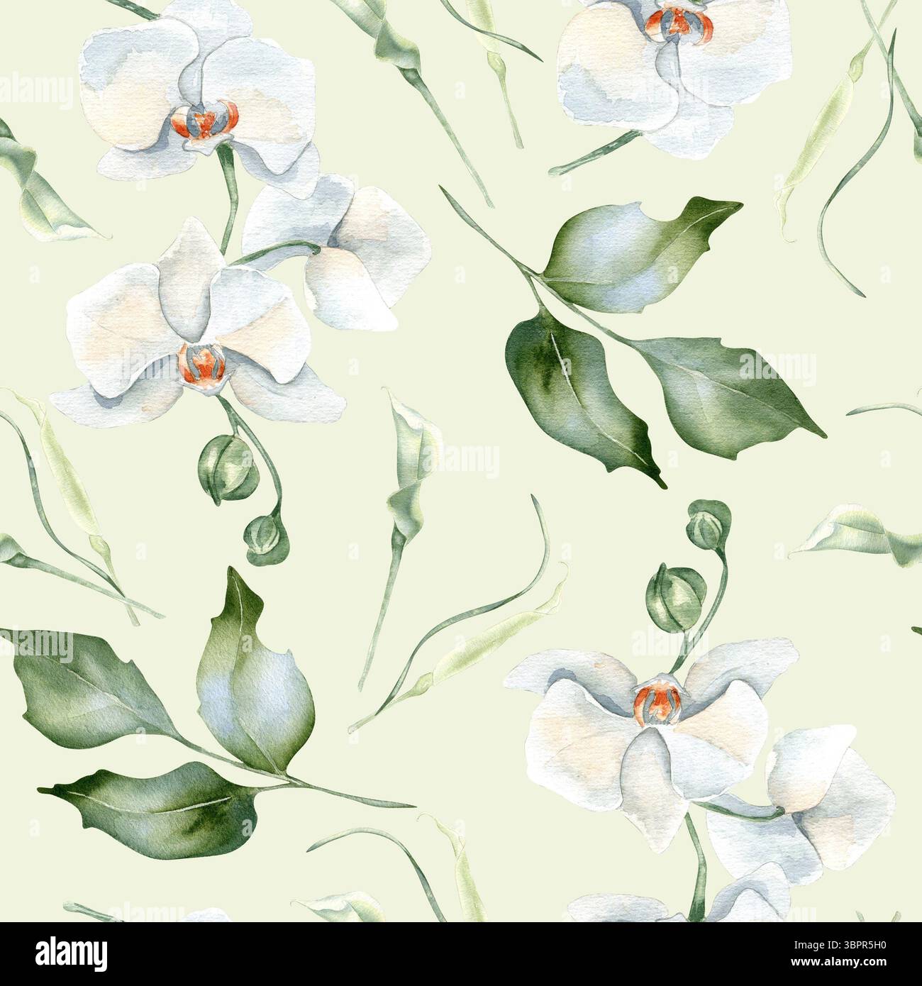 Zarte weiße Blumen Aquarellmuster isoliert. Weiße Orchideen und Laub, stechpalmenzweige handgezeichnet. Neutral botanisch wiederholt Stockfoto