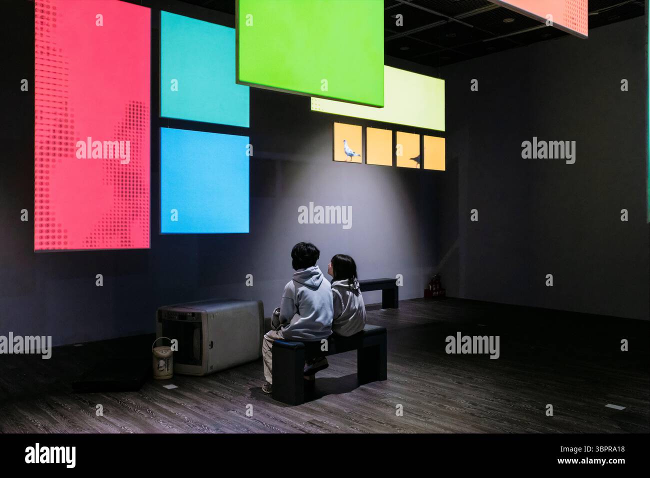 Ein junges Paar, das sich eine der Kunstinstallationen im Museum of Contemporary Art in Taipei, Taiwan ansieht Stockfoto