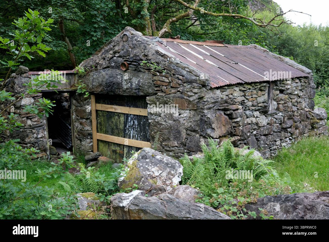 Alte Hirtenhütte in der Nähe von Beddgelert in Snowdonia, Wales, Großbritannien Stockfoto