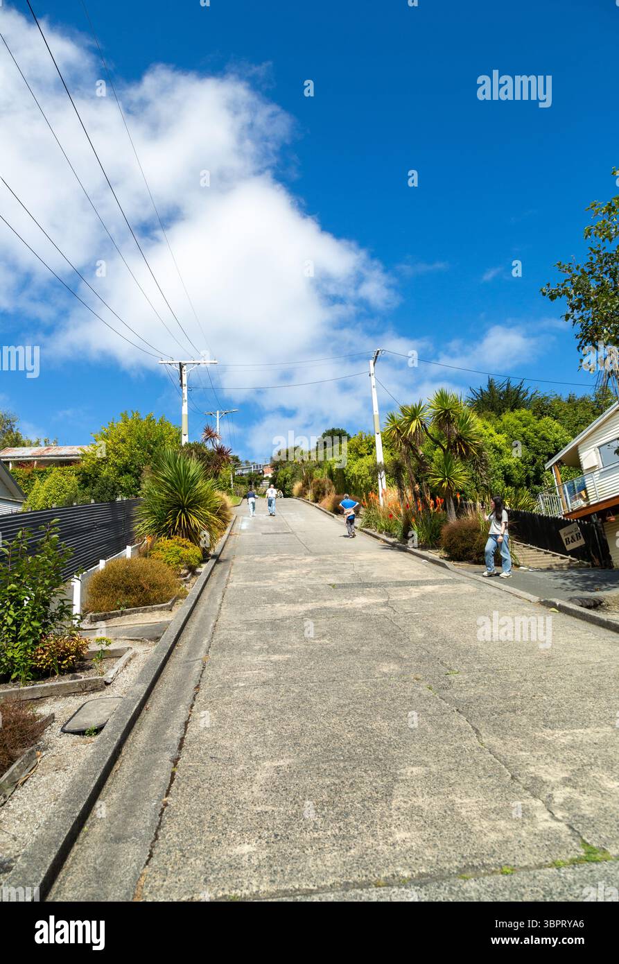 Baldwin Street, die steilste Straße der Welt mit einer Steigung von 34 %, ist heute ein beliebter Touristenort in Dunedin, Neuseeland Stockfoto