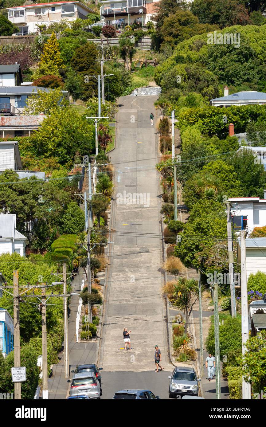 Baldwin Street, die steilste Straße der Welt mit einer Steigung von 34 %, ist heute ein beliebter Touristenort in Dunedin, Neuseeland Stockfoto
