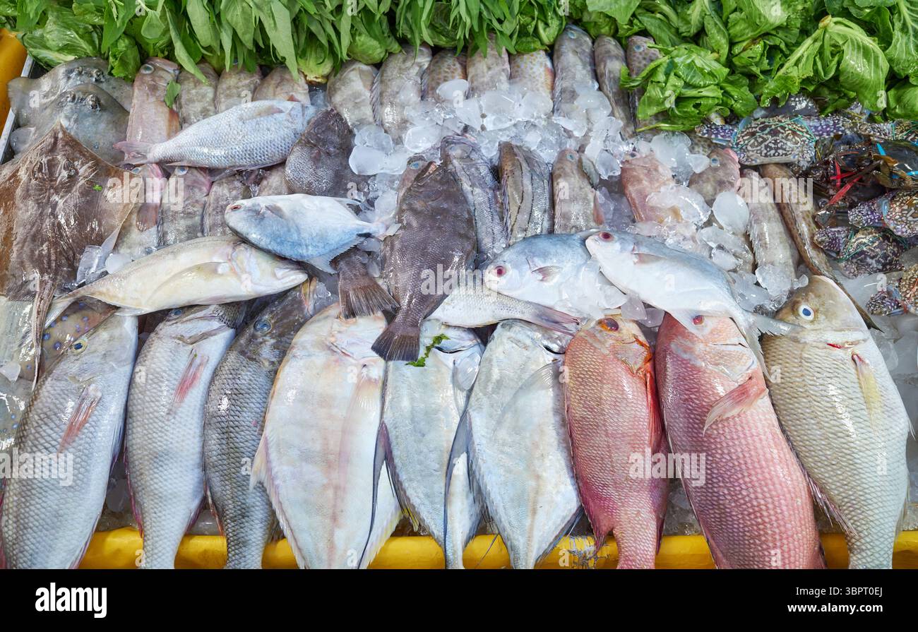 Frisch gefangener Meeresfisch auf einem Markt in Kota Kinabalu, Borneo, Malaysia. Stockfoto