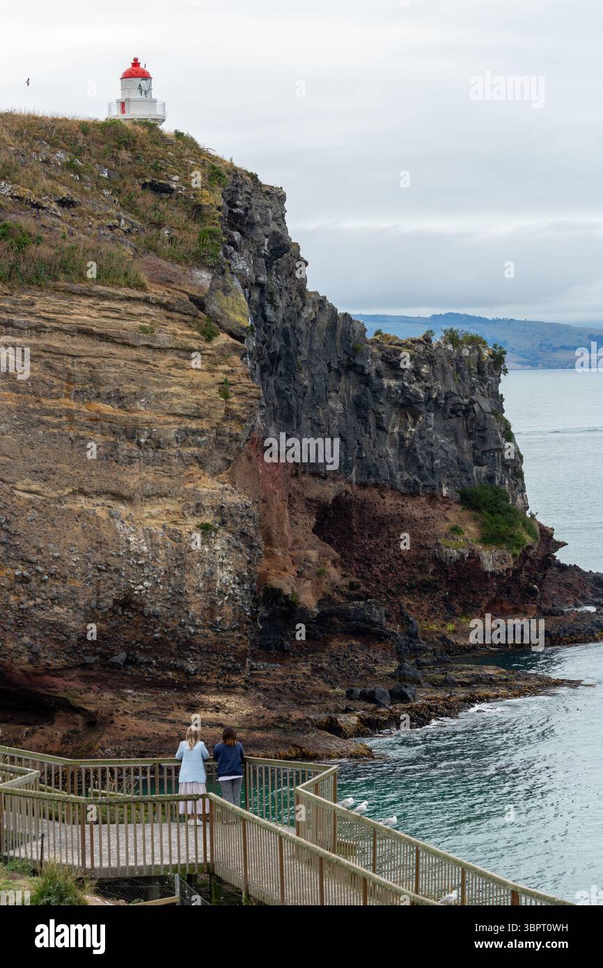 Besucher sehen die Klippen und den Taiaroa Head Lighthouse am Taiaroa Head an der Landzunge am Ende der Otago-Halbinsel in Neuseeland Stockfoto