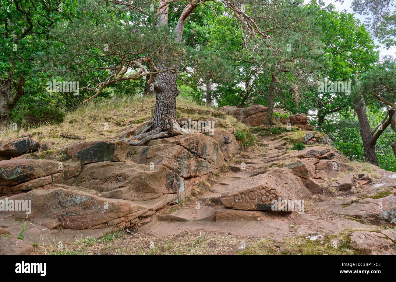 Abgenutzte Stufen auf High Rock, Bridgnorth, Shropshire Stockfoto